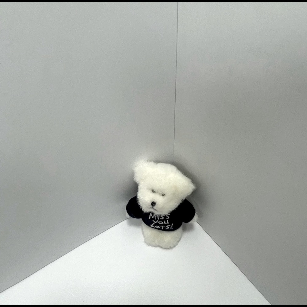 Vintage Retired Boyds Bears Mini Miss you lots collectible plush bear 4” - Picture 8 of 9